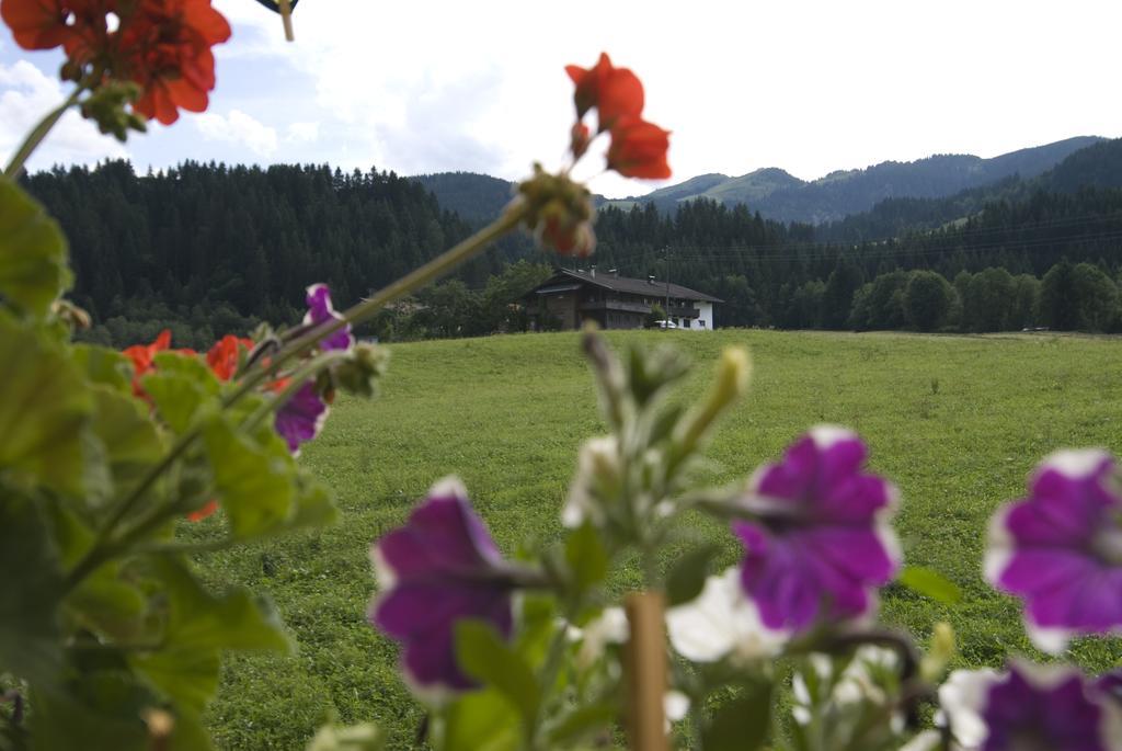 Haus Schatzbergblick Όμπεραου Εξωτερικό φωτογραφία
